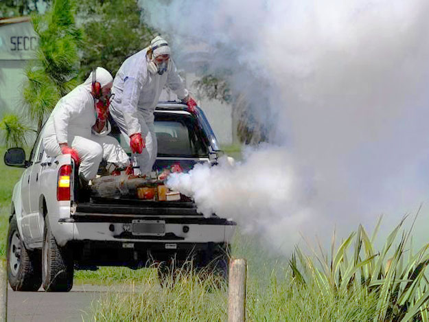 filtrar estoy enfermo Cereza Fumigaciones para el control de mosquitos – Plaga Express